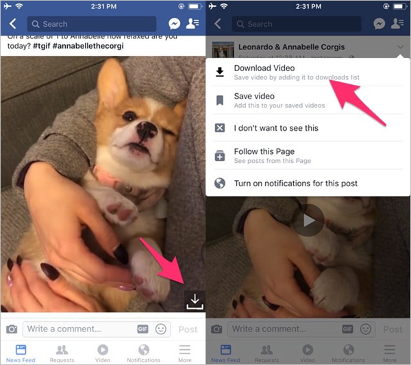 Using Facebook++ App to download Facebook videos on iPhone